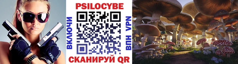 Галлюциногенные грибы прущие грибы  закладка  Княгинино 