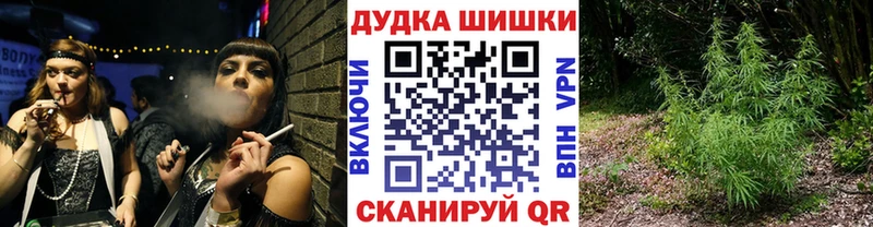 купить наркотики цена  Княгинино  Конопля ГИДРОПОН 